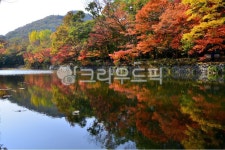 고창선운사도솔천, 고창선운사, 고창도솔천, 선운사도솔천, 선운교, 사진,이미지,일러스트,캘리그라피 - 영산공작가 크라우드픽 - 저작권 걱정...