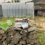 시골, 시골우체통, 오래된우체통, 돌담, 비닐하우스, 사진,이미지,일러스트,캘리그라피 - maypic작가 크라우드픽 - 저작권 걱정 없는 상업용 이미지