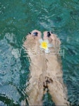 물, water, 만다리꽃, 꽃, 발리꽃, 사진,이미지,일러스트,캘리그라피 - younmihi작가 크라우드픽 - 저작권 걱정 없는 상업용 이미지