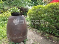 항아리, 쉼터, 식물, 정원, 마당, 사진,이미지,일러스트,캘리그라피 - 바람따라작가 크라우드픽 - 저작권 걱정 없는 상업용 이미지