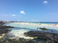 제주도, 제주, 바다, 세화해변, 여름, 사진,이미지,일러스트,캘리그라피 - Awesomezin작가 크라우드픽 - 저작권 걱정 없는 상업용 이미지