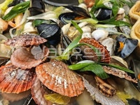 해양생물, 조개, seashell, 해산물, 조개찜, 사진,이미지,일러스트,캘리그라피 - 밍밍84작가 크라우드픽 - 저작권 걱정 없는 상업용 이미지