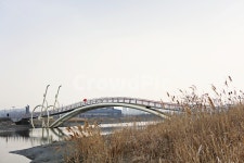 미생의다리, 다리, 갯벌, 바다, 생태공원, 사진,이미지,일러스트,캘리그라피 - 함께사는세상작가 크라우드픽 - 저작권 걱정 없는 상업용 이미지