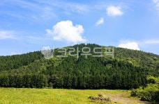 오름, 제주도, 하늘, 초록, 평기, 사진,이미지,일러스트,캘리그라피 - choijw941작가 크라우드픽 - 저작권 걱정 없는 상업용 이미지