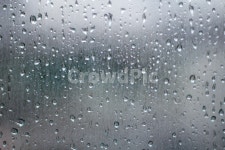 droplet, 작은물방울, texture, 비, rain, 사진,이미지,일러스트,캘리그라피 - 친절한임씨작가 크라우드픽 - 저작권 걱정 없는 상업용 이미지