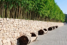 대나무, 담양, 죽녹원, 의자, 죽림, 사진,이미지,일러스트,캘리그라피 - sinsy작가 크라우드픽 - 저작권 걱정 없는 상업용 이미지