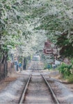 이팝나무, 철길, 철도, 기차길, 전주, 사진,이미지,일러스트,캘리그라피 - reminisce작가 크라우드픽 - 저작권 걱정 없는 상업용 이미지