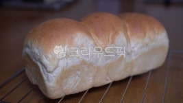 빵, bread, 음식, food, bun, 사진,이미지,일러스트,캘리그라피 - Nthakd49작가 크라우드픽 - 저작권 걱정 없는 상업용 이미지