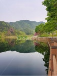 금평지, 저수지, 만수위, 데크길, 산책로, 사진,이미지,일러스트,캘리그라피 - 나들이작가 크라우드픽 - 저작권 걱정 없는 상업용 이미지