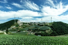 안반데기, 풍력발전, 풍력, 바람, 능선, 사진,이미지,일러스트,캘리그라피 - 카페인0730작가 크라우드픽 - 저작권 걱정 없는 상업용 이미지