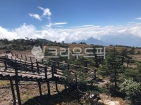 산책로, 트래킹, 산정상, 산, 정상, 사진,이미지,일러스트,캘리그라피 - 이애명작가 크라우드픽 - 저작권 걱정 없는 상업용 이미지