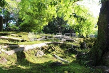 햇살, 정원, 나무, 잔디, 초록, 사진,이미지,일러스트,캘리그라피 - banara10작가 크라우드픽 - 저작권 걱정 없는 상업용 이미지