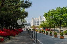 고대, 고려대, 고려대학교, 서울, 안암동, 사진,이미지,일러스트,캘리그라피 - imlover작가 크라우드픽 - 저작권 걱정 없는 상업용 이미지