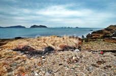 예초리기정길, 추자도, 하추자도, 제주, 올레181코스, 사진,이미지,일러스트,캘리그라피 - Deep bLUE작가 크라우드픽 - 저작권 걱정 없는... 