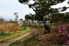 nature, 자연, outdoors, 옥외, 고창학원농장, 사진,이미지,일러스트,캘리그라피 - 영산공작가 크라우드픽 - 저작권 걱정 없는 상업용 이미지