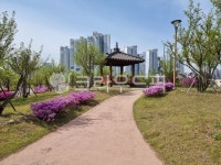 청라호수공원, nature, 자연, 공원, park, 사진,이미지,일러스트,캘리그라피 - happyean작가 크라우드픽 - 저작권 걱정 없는 상업용 이미지