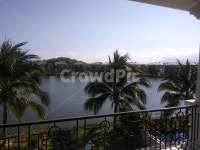 야자수, 나트랑, 베트남, 풀빌라, 여름, 사진,이미지,일러스트,캘리그라피 - TomAnderson작가 크라우드픽 - 저작권 걱정 없는 상업용 이미지