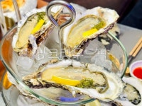 해물, seafood, 굴, 석화, 생굴, 사진,이미지,일러스트,캘리그라피 - 토니네작가 크라우드픽 - 저작권 걱정 없는 상업용 이미지