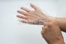 한손, 두손, 제스처, 행동, 잡고있는, 사진,이미지,일러스트,캘리그라피 - gpwlsl302작가 크라우드픽 - 저작권 걱정 없는 상업용 이미지