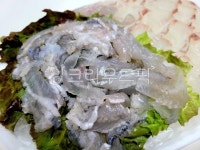 회, 제철회, 세꼬시, 해산물, seafood, 사진,이미지,일러스트,캘리그라피 - 모먼트111작가 크라우드픽 - 저작권 걱정 없는 상업용 이미지