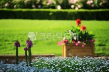 순천만국가정원1호, 테마공원, 자연생태공원, 자연, 옥외, 사진,이미지,일러스트,캘리그라피 - pandora4077작가 크라우드픽 - 저작권 걱정... 