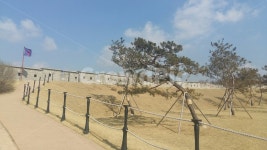 수원화성, 성곽, 나무, 하늘, 단청, 사진,이미지,일러스트,캘리그라피 - Nrabblt0701작가 크라우드픽 - 저작권 걱정 없는 상업용 이미지