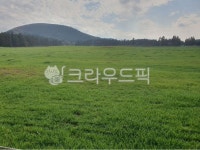 목장, field, 필드, 농장, 목초지, 사진,이미지,일러스트,캘리그라피 - 간 서 작가 크라우드픽 - 저작권 걱정 없는 상업용 이미지