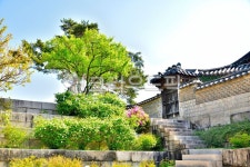 창덕궁, 낙선재, 후원, 화계, 봄, 사진,이미지,일러스트,캘리그라피 - 백봉작가 크라우드픽 - 저작권 걱정 없는 상업용 이미지