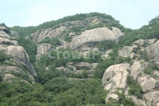 asia, cliff, forest, green, korea, 사진,이미지,일러스트,캘리그라피 - binimin작가 크라우드픽 - 저작권 걱정 없는 상업용 이미지
