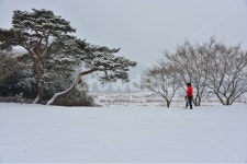 winter, 겨울, snow, 눈, storm, 사진,이미지,일러스트,캘리그라피 - 영산공작가 크라우드픽 - 저작권 걱정 없는 상업용 이미지