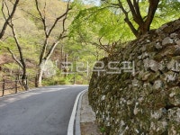 길, 굽은길, 산책길, 조용한길, 한적한길, 사진,이미지,일러스트,캘리그라피 - 어쩌다작가작가 크라우드픽 - 저작권 걱정 없는 상업용 이미지