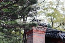 나무, 한옥, plant, 식물, 지붕, 사진,이미지,일러스트,캘리그라피 - lillapic작가 크라우드픽 - 저작권 걱정 없는 상업용 이미지