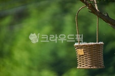 꽃바구니, 봄, 바구니, 선물, 이벤트, 사진,이미지,일러스트,캘리그라피 - heatal작가 크라우드픽 - 저작권 걱정 없는 상업용 이미지
