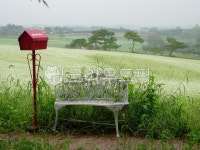 메밀꽃, 학원농장메밀꽃, 메밀꽃필무렵, 고창학원농장, 우체통풍경, 사진,이미지,일러스트,캘리그라피 - Nkys3141작가 크라우드픽 - 저작권... 