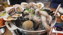 조개, 해양생물, clam, cutlery, seashell, 사진,이미지,일러스트,캘리그라피 - avoco작가 크라우드픽 - 저작권 걱정 없는 상업용 이미지