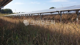 태양광, 태양광발전, 태양광모듈, 모듈, 태양광발전소, 사진,이미지,일러스트,캘리그라피 - 피오하루작가 크라우드픽 - 저작권 걱정 없는 상업용... 