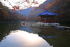 내장산국립공원, 우화정의가을, 단풍, 가을, 우화정, 사진,이미지,일러스트,캘리그라피 - 에레스뚜작가 크라우드픽 - 저작권 걱정 없는 상업용 이미지