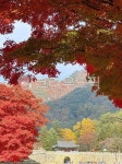 가을, 문경, 문경새재, 문경새재가을, 1관문, 사진,이미지,일러스트,캘리그라피 - 지니몰랑작가 크라우드픽 - 저작권 걱정 없는 상업용 이미지