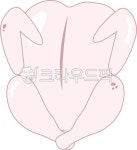 닭, 생닭, 통닭, 치킨, 삼계탕, 사진,이미지,일러스트,캘리그라피 - 참이작가 크라우드픽 - 저작권 걱정 없는 상업용 이미지