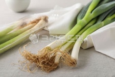 food, 파, 대파, 야채, plant, 사진,이미지,일러스트,캘리그라피 - mirupick작가 크라우드픽 - 저작권 걱정 없는 상업용 이미지