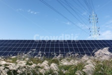 철탑, 태양광, 전력시설, 전기에너지, 태양광발전소, 사진,이미지,일러스트,캘리그라피 - 시대작가 크라우드픽 - 저작권 걱정 없는 상업용 이미지