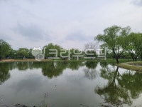 nature, 자연, 호수, 물, water, 사진,이미지,일러스트,캘리그라피 - lmyorange작가 크라우드픽 - 저작권 걱정 없는 상업용 이미지