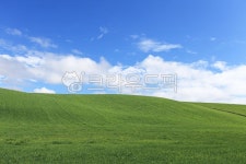 들판, 초원, 자연, 풍경, 하늘, 사진,이미지,일러스트,캘리그라피 - 프리이미지작가 크라우드픽 - 저작권 걱정 없는 상업용 이미지