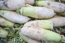 무우, 월동무, 김장재료, 무, 무청, 사진,이미지,일러스트,캘리그라피 - 다정금지작가 크라우드픽 - 저작권 걱정 없는 상업용 이미지