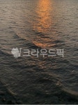 바다, 물, 자연, 윤슬, 잔물결, 사진,이미지,일러스트,캘리그라피 - qwwg12작가 크라우드픽 - 저작권 걱정 없는 상업용 이미지
