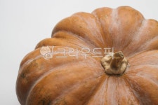 plant, 식물, pumpkin, 호박, food, 사진,이미지,일러스트,캘리그라피 - studio H작가 크라우드픽 - 저작권 걱정 없는 상업용 이미지