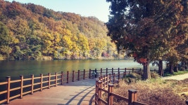 가을, 노루벌, 흑석동, 메타세콰이어, 가을풍경, 사진,이미지,일러스트,캘리그라피 - blackSky작가 크라우드픽 - 저작권 걱정 없는 상업용 이미지