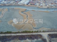nature, 자연, outdoors, 옥외, 시화생태공원, 사진,이미지,일러스트,캘리그라피 - yooofa작가 크라우드픽 - 저작권 걱정 없는 상업용 이미지