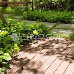 햇살, 정원, 그림자, 플랜트, 봄볕, 사진,이미지,일러스트,캘리그라피 - Nhyunyjjoa작가 크라우드픽 - 저작권 걱정 없는 상업용 이미지