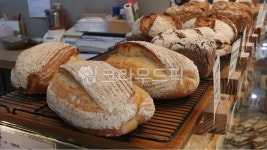 빵, 건강빵, 독일빵, 빵집, bread, 사진,이미지,일러스트,캘리그라피 - 앨리작가 크라우드픽 - 저작권 걱정 없는 상업용 이미지